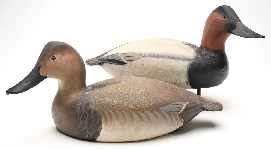 Ward Brothers – Pair of canvasbacks – 2026