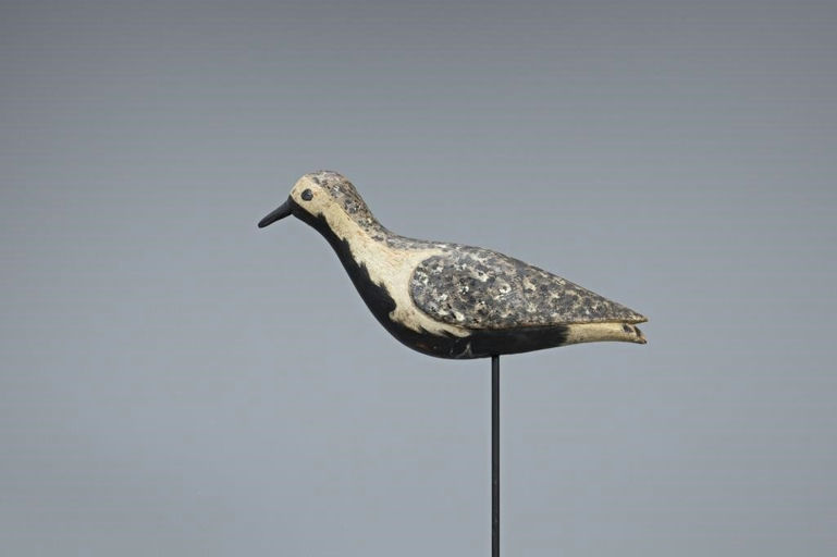 Daniel Lake Leeds – Black Bellied Plover – 2019