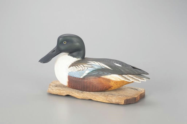 Davison B. Hawthorne – Shoveler – 2023
