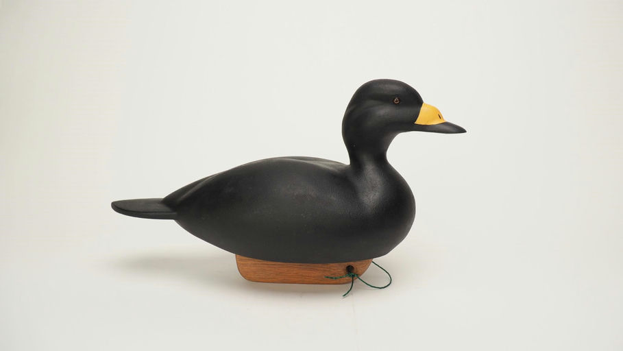 Robert King — Black Scoter Decoy