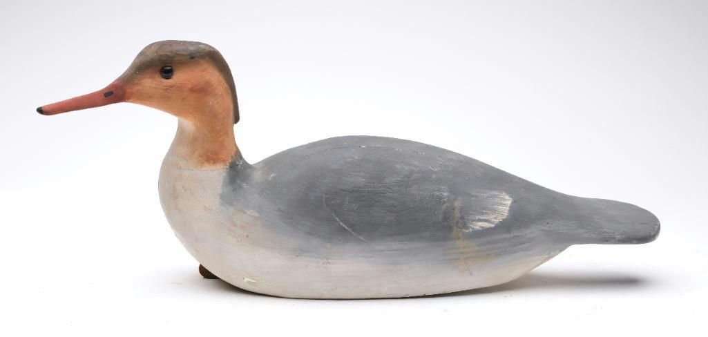 Cigar Daisey – Merganser – 2024