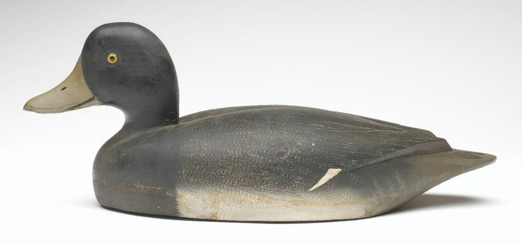 David W. Nichol – Scaup – 2023