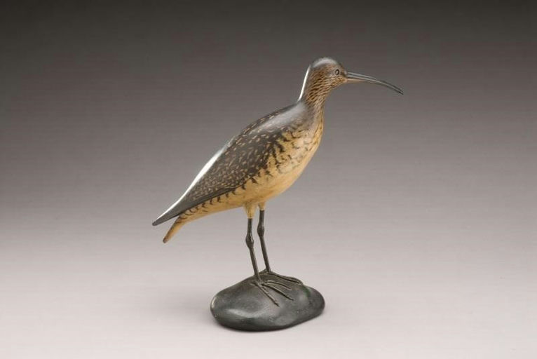 Elmer Crowell – Hudsonian Curlew – 2011