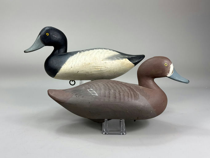 R. Madison Mitchell – Scaup – 2026