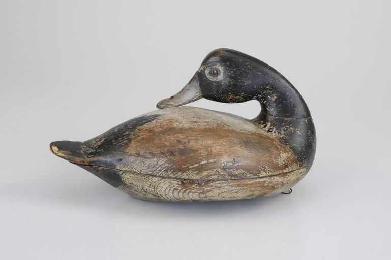 Robert Elliston – The Masterworks Preening Bluebill – 2026