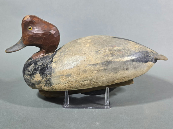 Ward Brothers – Canvasback – 2026