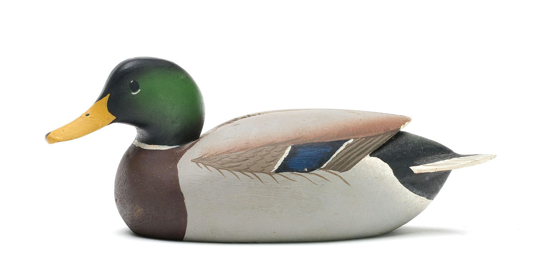 Oliver Lawson – Miniature Mallard – 2025