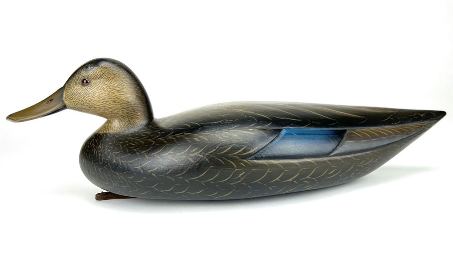Sean Sutton – Black Duck – 2024