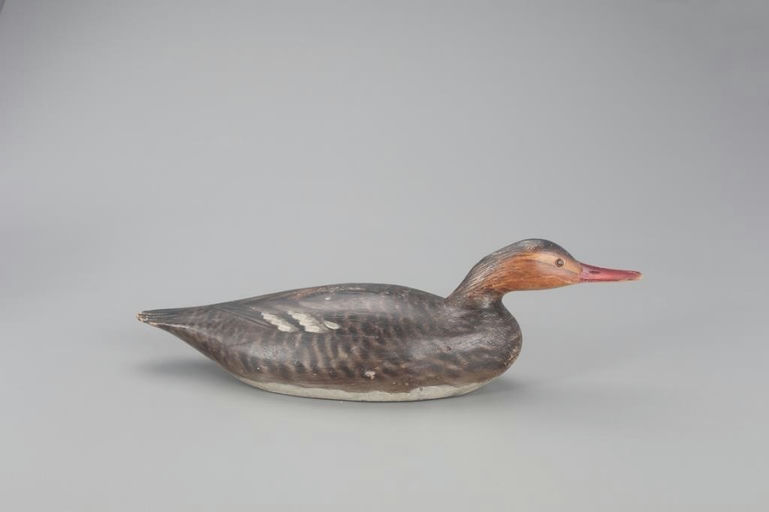 Elmer Crowell – Exceptional Swimming Red-Breasted Merganser Hen – 2021
