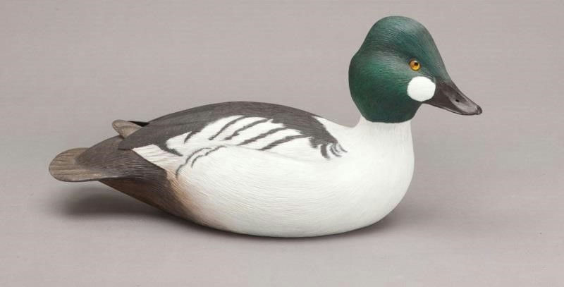 John Holloway – Goldeneye – 2011