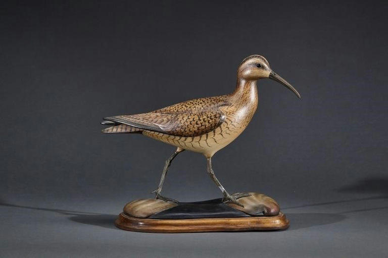 Bill Gibian – Eskimo Curlew – 2017