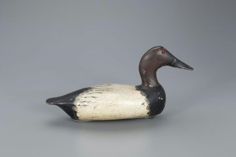 Bert Graves – Canvasback – 2020
