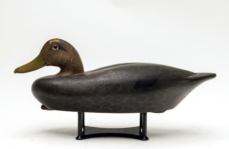 Roswell E. Bliss – Black Duck – 2026