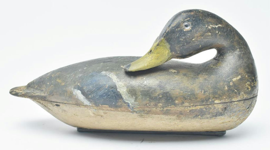 Robert Elliston – Mallard Hen – 2023