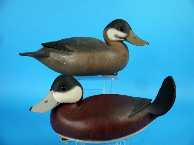 Rick Brown – Pair Of Ruddy Ducks, – 2026