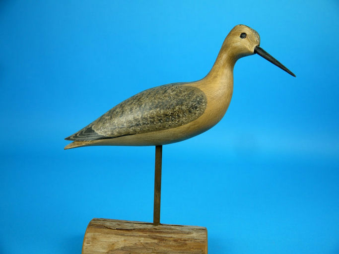 Harry V. Shourds – Yellowlegs – 2026