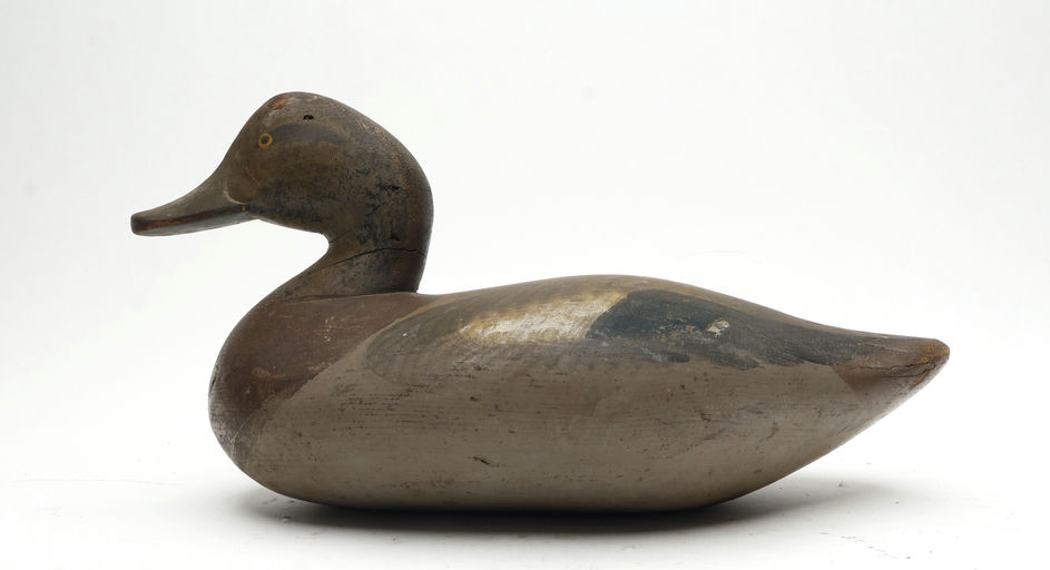 R. Madison Mitchell – Wigeon Hen – 2026