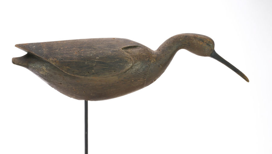 Cameron McIntyre – Curlew – 2025