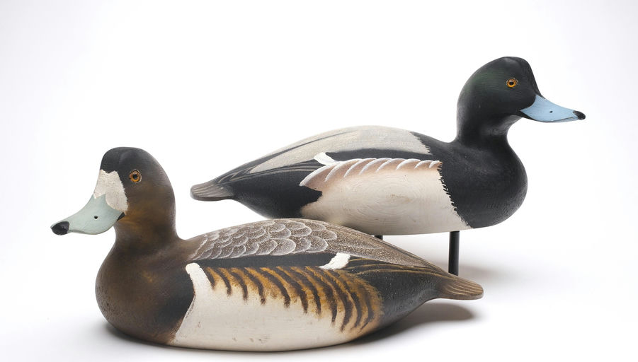 Ward Brothers – Pair of Bluebill – 2026