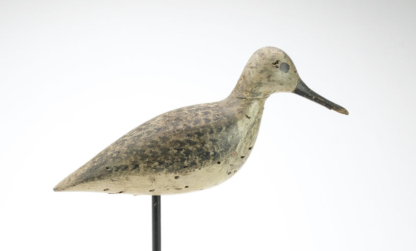 Harry V. Shourds – Yellowlegs – 2025