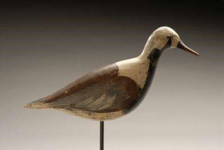 Malatrope Kovenhoven – Ruddy Turnstone – 2007