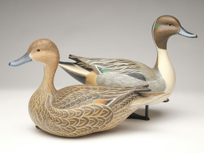 Ben A. Heinemann – Pintail – 2023