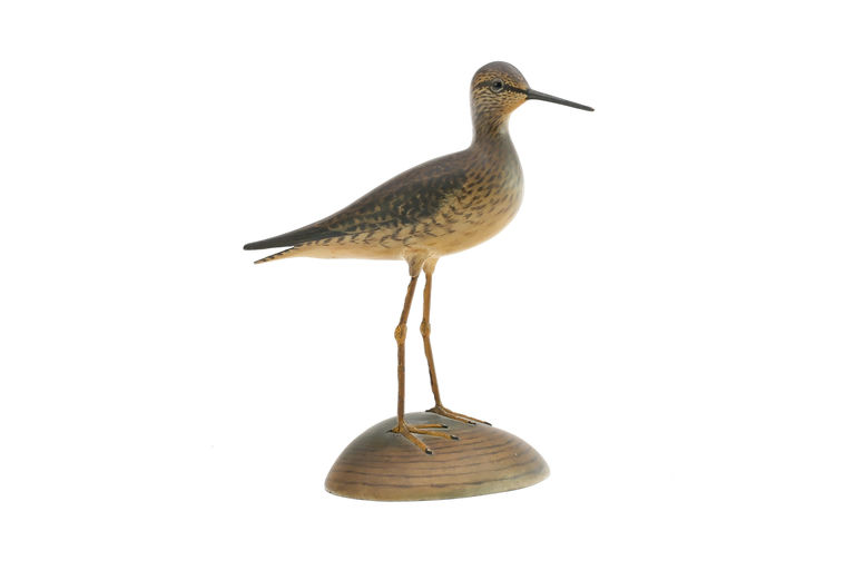 Elmer Crowell – Lesser Yellowlegs – 2026