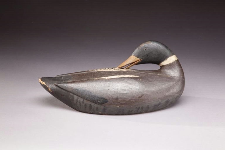Gus Wilson – Preening Mallard Drake – 2013
