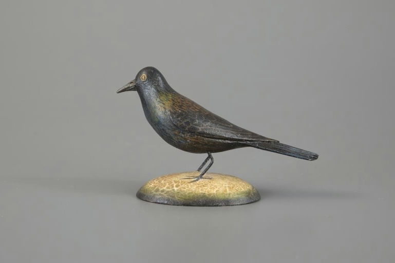 Frank Finney – Rare Common Grackle – 2025