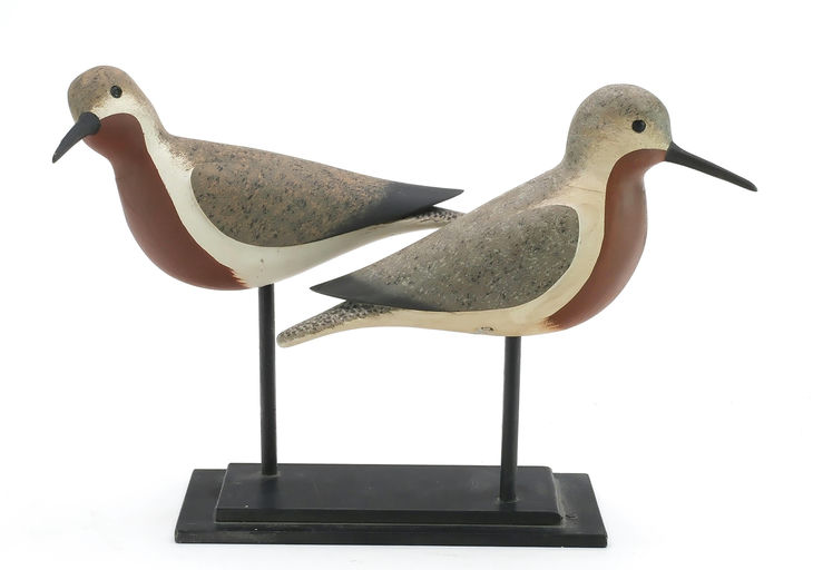Jamie Hand – Red Knot – 2024