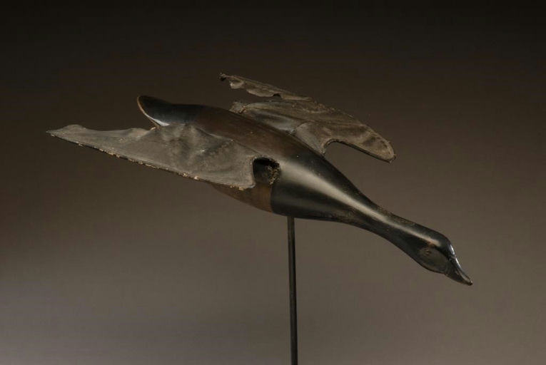 Harry V. Shourds – Flying Brant – 2008