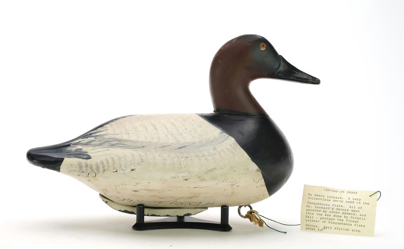 Henry Lockard – Canvasback – 2024