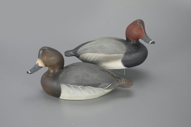 Ward Brothers – Redhead Pair – 2023