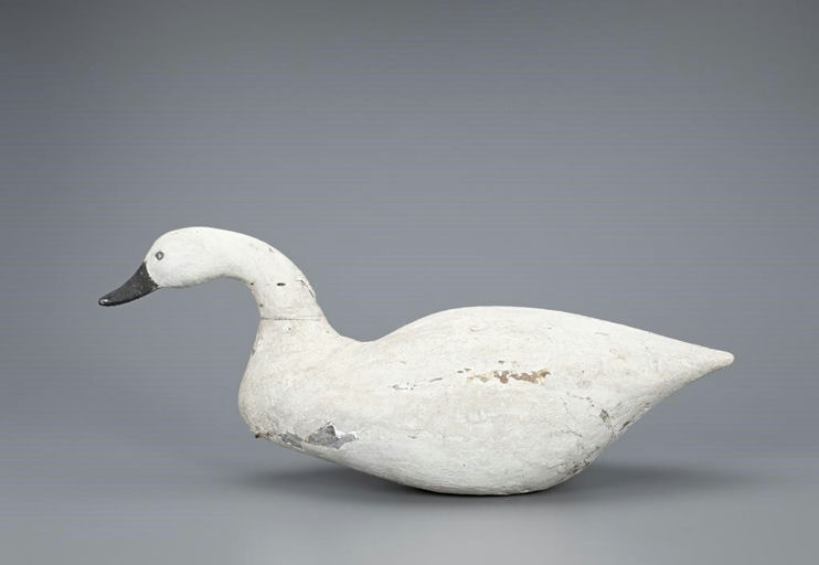James R. Best – The Best Swimming Swan – 2019