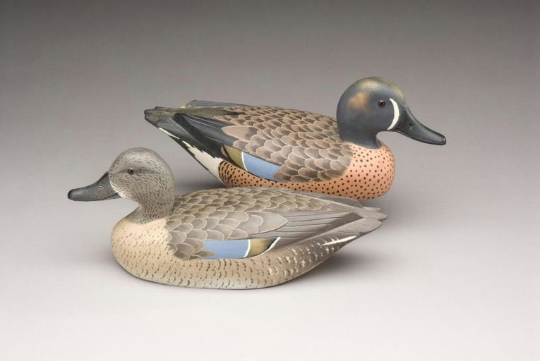 David W. Nichol – Blue-Winged Teal Pair – 2009