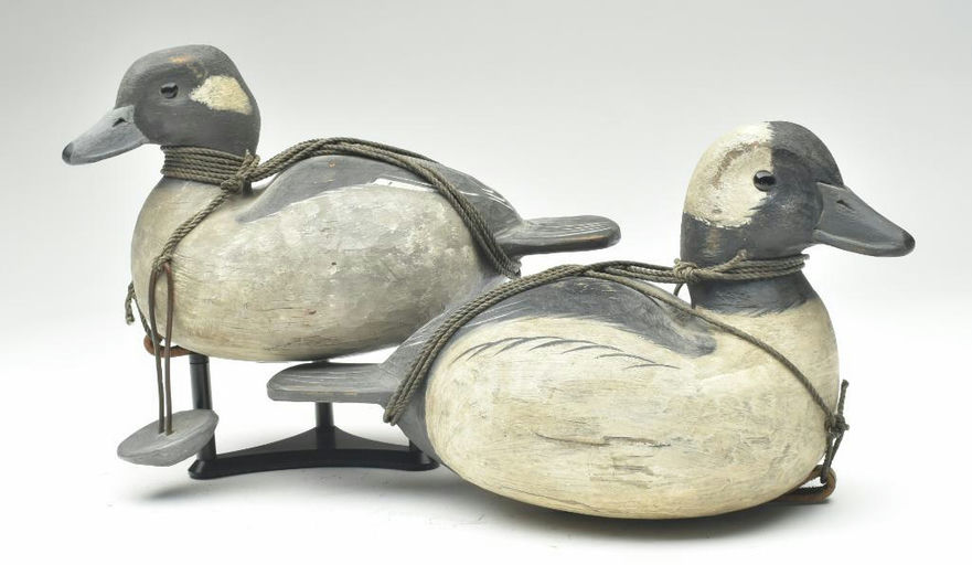 Reggie Birch – Bufflehead – 2023