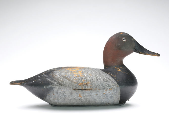 Robert Elliston – Canvasback – 2024