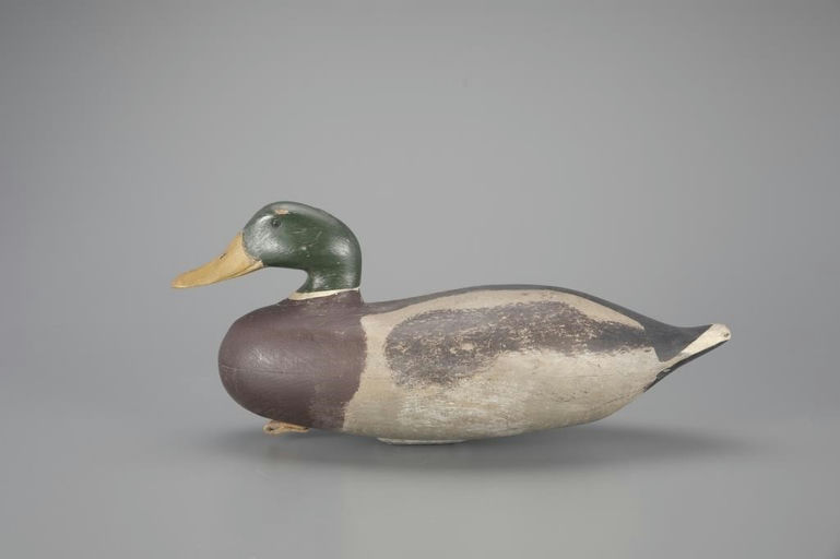 Clark Madera – Rare Mallard – 2024
