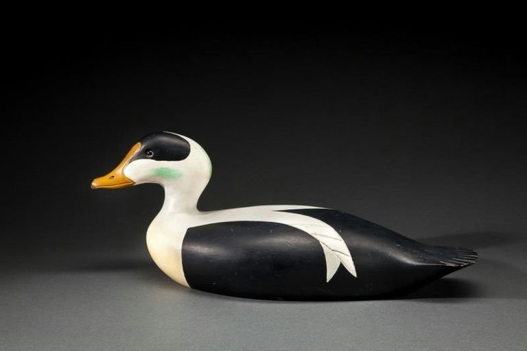 Gerald B. Smith – Common Eider Drake – 2014