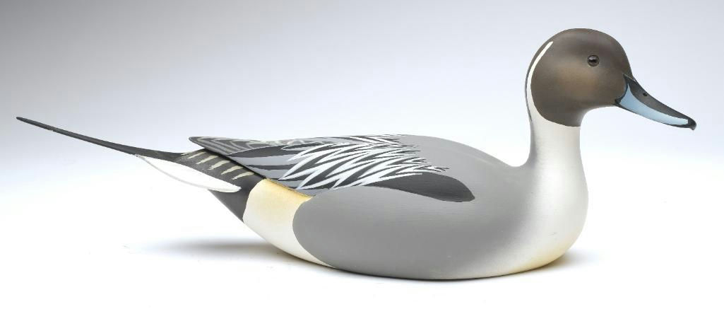 Oliver Lawson – Pintail – 2023