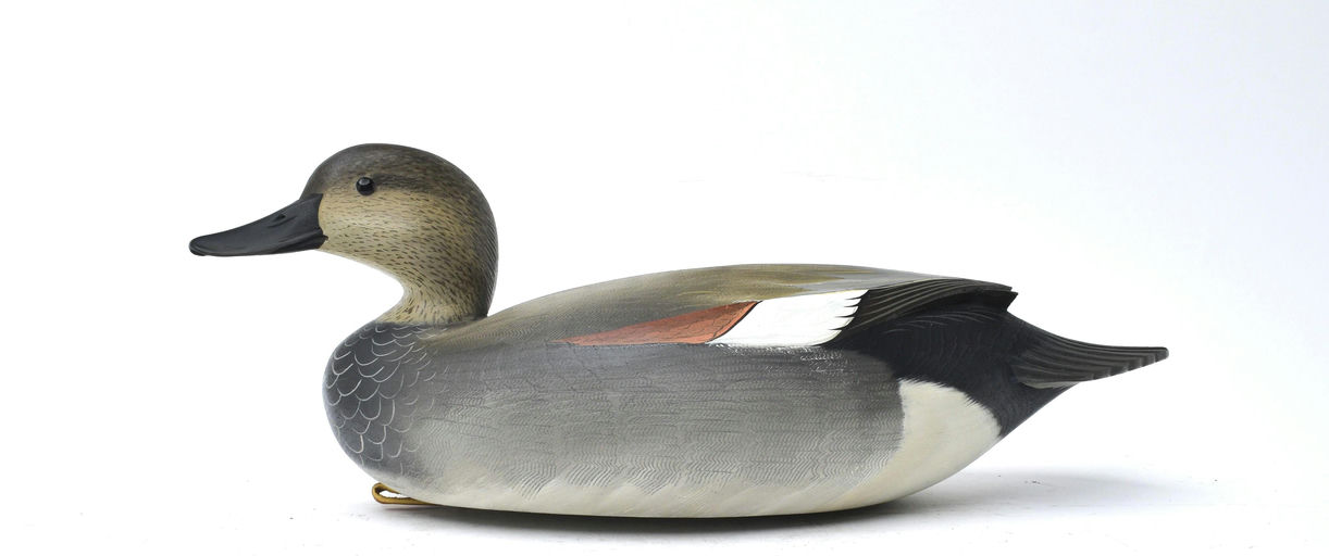 George Strunk – Gadwall – 2025