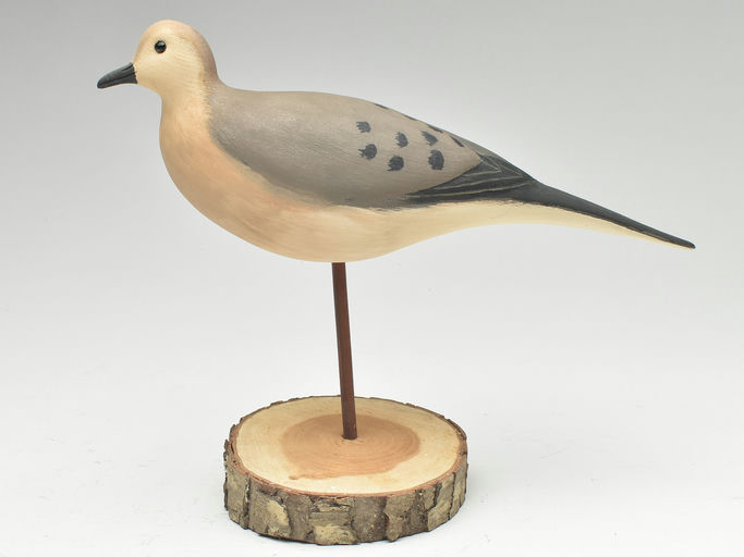 Cigar Daisey – Dove – 2023