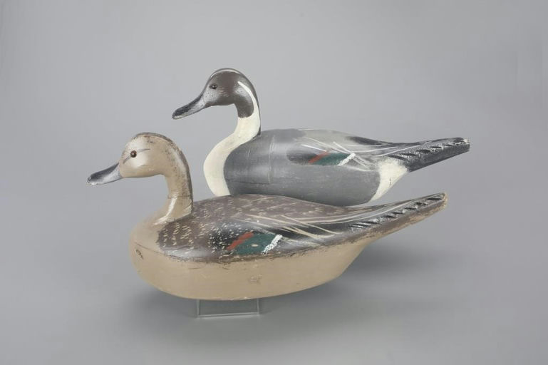 Leo Tocchini – Pintail Pair – 2023