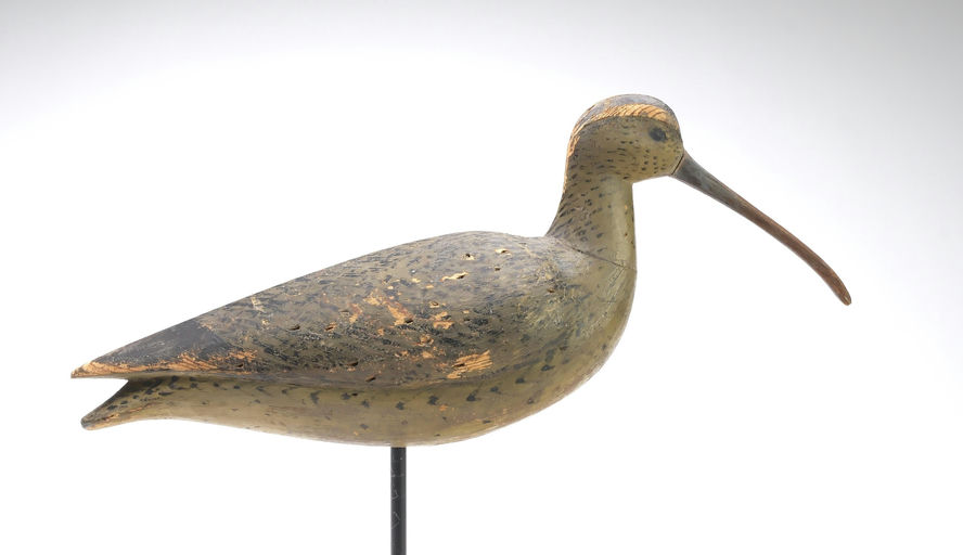 Mark McNair – Curlew – 2025