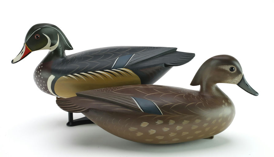 George Strunk – Pair of Wood Ducks – 2024