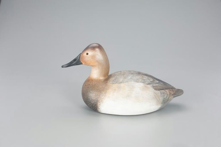 John Zachmann – Canvasback Hen – 2021