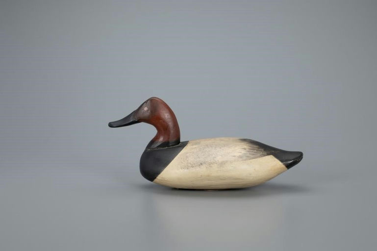 James Currier – Canvasback Drake – 2020