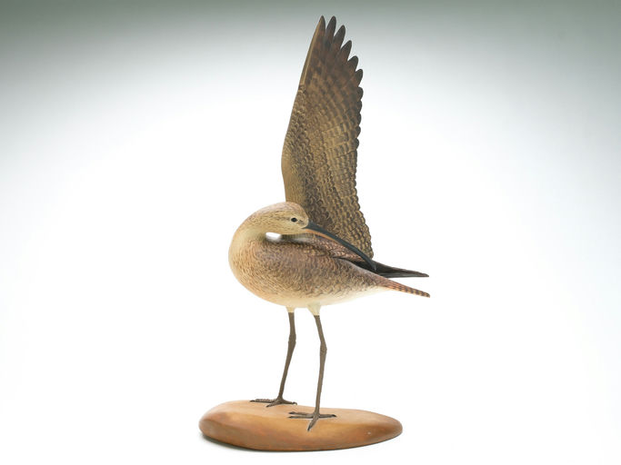 Frank Finney – Large Preening Curlew With One Raised Wing – 2025