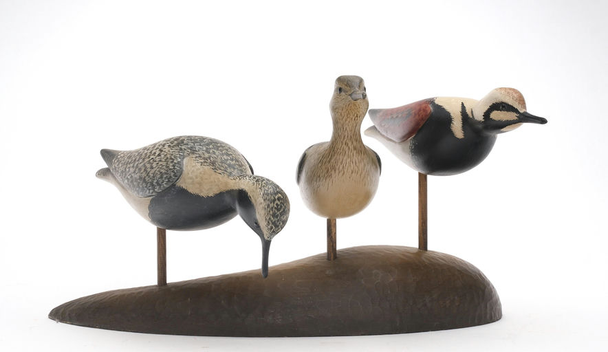 George Strunk – Ruddy Turnstone – 2026