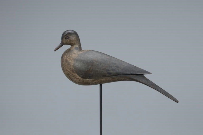 Marty Hanson – Dove – 2019